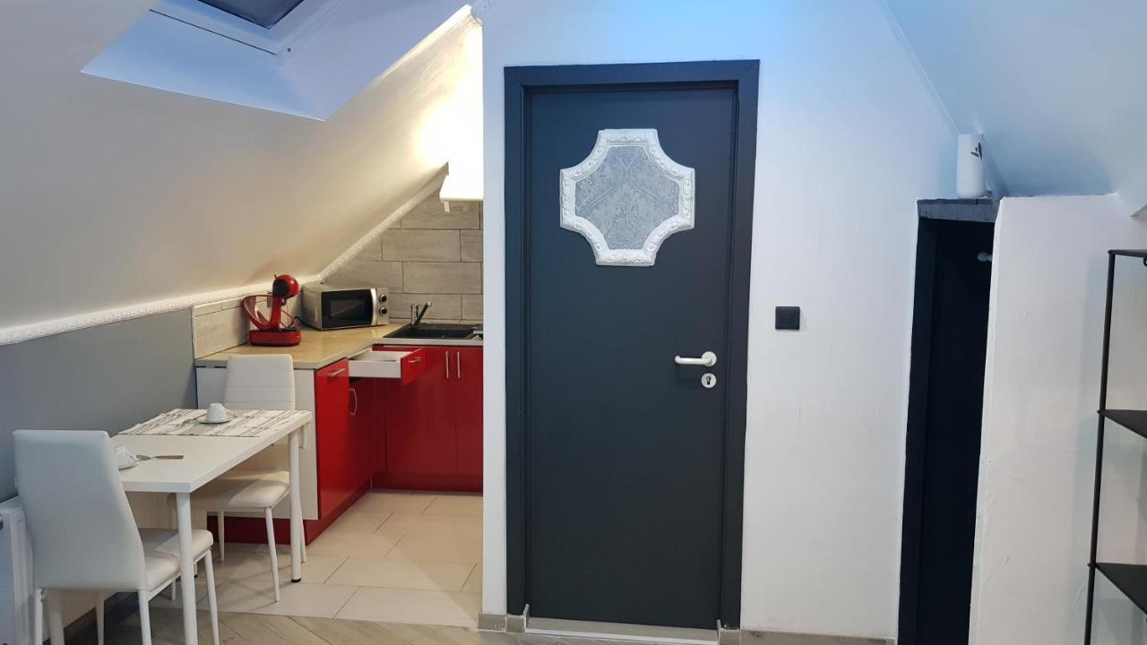 Le Petit Luxembourg Apartman Montignies-sur-Sambre Kültér fotó