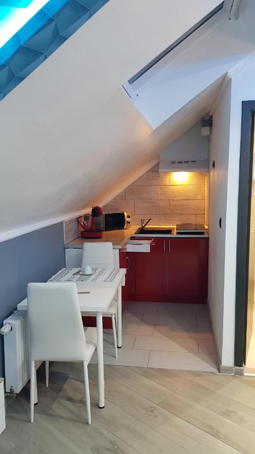 Le Petit Luxembourg Apartman Montignies-sur-Sambre Kültér fotó